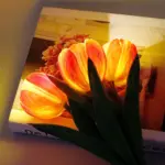 LED Tulip Table Lamp with Vase - Adjustable Brightness & Color Modes USB Powered - Image 7