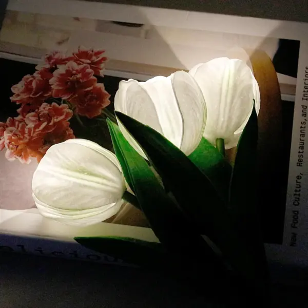 LED Tulip Table Lamp with Vase - Adjustable Brightness & Color Modes USB Powered - Image 14