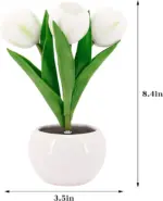 LED Tulip Table Lamp with Vase - Adjustable Brightness & Color Modes USB Powered - Image 10