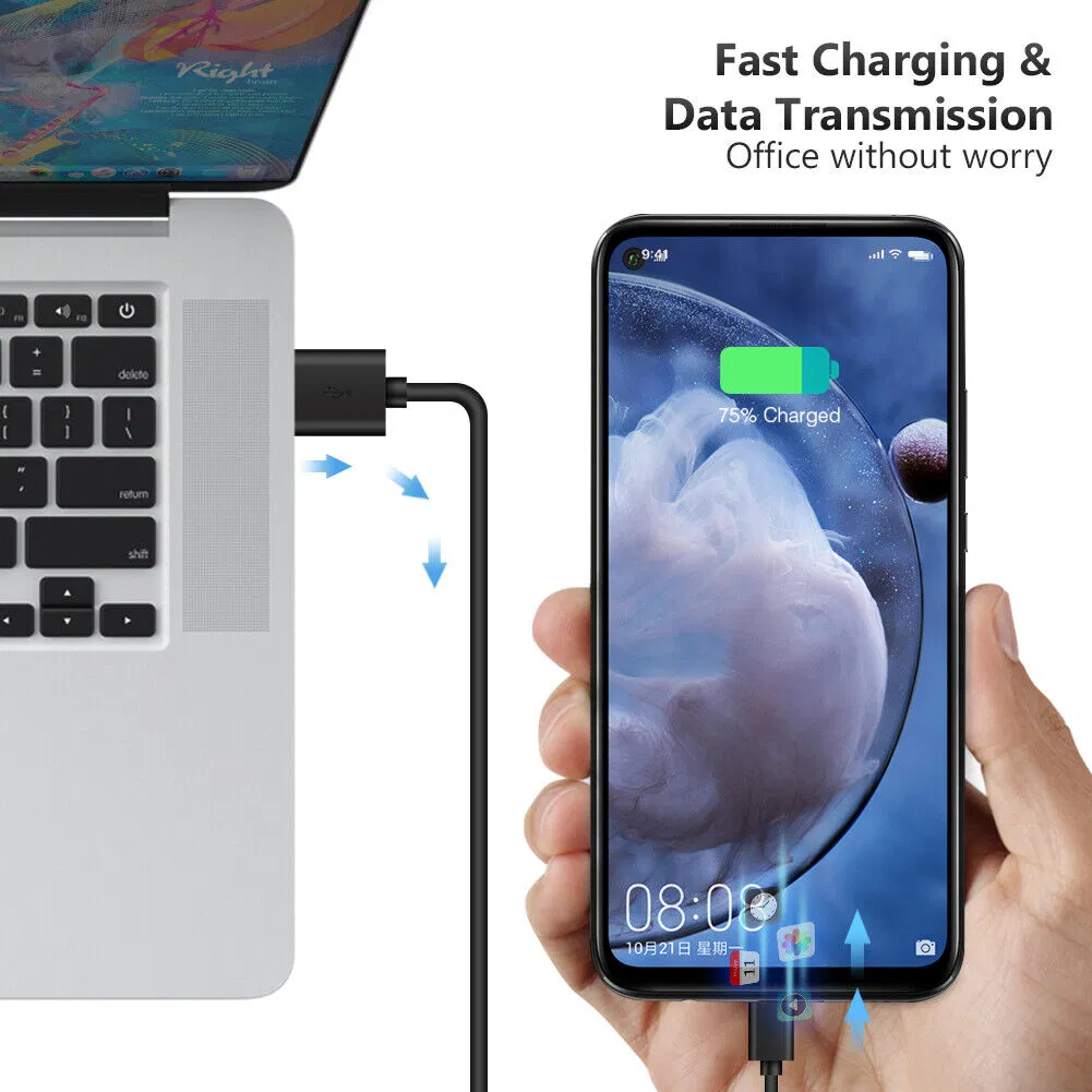 10 Pack USB-C to USB-A Charging and Data Cables, 3 Foot