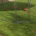 17.1 ft x 15.7 ft Large Outdoor Silver Chicken Run with Cover for 19-25 Chickens Walk-In Hen House - Image 8