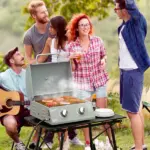 2 Burner Propane Gas Grill Portable Tabletop BBQ with Foldable Legs Lid Thermometer for Camping Light Grey - Image 2
