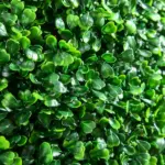HOMCOM 2 Pack 19.75 Inch Artificial Ball Boxwood Topiary Trees Balls, Indoor Outdoor Fake Plants for Home, Office and Living Room Decor - Image 8