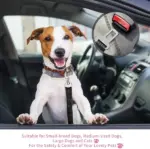 2 Pack Adjustable Pet Car Seat Belt Tethers for Dogs and Cats - Image 11