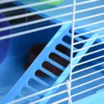 PawHut 2-Tier Hamster Cage Gerbil House with Portable Carry Handles, Anti-Pinning, Plastic Tray, Water Bottle, Food Dishes, Blue - Image 9