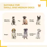 PawHut 24 Panel Dog Playpen for Small and Medium Dogs with Lockable Door, or Indoor/Outdoor Use, DIY Shape Pet Playpen, 189" x 189" x 32" - Image 4
