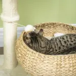 PawHut 28" Elevated Cat Bed with Sisal Scratching Post for Indoor Kitties, Modern Cat Tree with Cute Basket Design, Small Cat Tree with Fun Ball Toy - Image 8