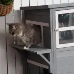 3-Tier Feral Cat House Outdoor Kitten Condo with Raised Floor Asphalt Roof Escape Door Jumping Platform Gray - Image 11