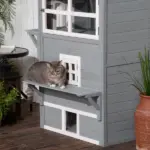 3-Tier Feral Cat House Outdoor Kitten Condo with Raised Floor Asphalt Roof Escape Door Jumping Platform Gray - Image 10