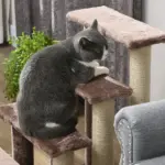 PawHut 4 Levels Cat Steps with Scratching Posts for High Bed, Sofa, Brown - Image 8