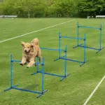 PawHut 4 Piece Dog Agility Starter Kit, Adjustable Jump Bars, Carry Bag, Blue - Image 2