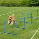 PawHut 4 Piece Dog Agility Starter Kit, Adjustable Jump Bars, Carry Bag, Blue - Image 16