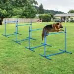 PawHut 4 Piece Dog Agility Starter Kit, Adjustable Jump Bars, Carry Bag, Blue - Image 7