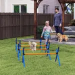 PawHut 4 Pieces Dog Agility Equipment, Dog Agility Course Backyard Set with Adjustable Height Jump Bars and Carry Bag - Image 10
