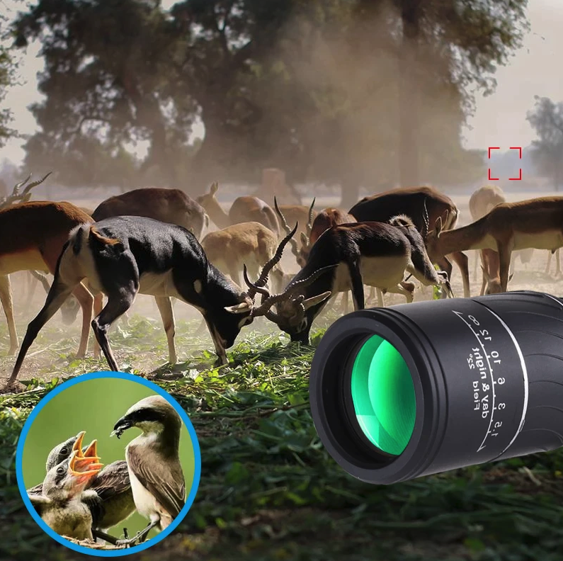 40x60 Monocular Telescope with BAK4 Prism and Low Light Viewing