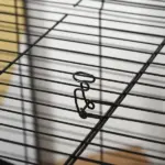 PawHut 42" Hamster Cage, Small Animal Cage Habitat for Ferret with Wheels, Hammocks, Tunnels and 3 Doors, Black - Image 10
