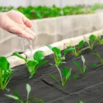 Outsunny 4 Ft x 300 Ft Weed Barrier Landscape Fabric, 5oz Heavy Duty Woven Weed Control Fabric for Landscaping - Image 10