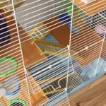 PawHut 5-Tier Hamster Cage, Portable Animal Travel Carrier with Exercise Wheels, Tube, Light Blue - Image 8