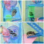 PawHut 5 Tiers Hamster Cage, Extra Large, Small Animal House, Wheels, Tubes, Water Bottle, Ladder, Blue - Image 8