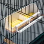 PawHut 55" 2 In 1 Large Bird Cage Parakeet House for Finches Budgies with Wheels Slide-out Trays Wood Perch Food Containers Green - Image 8