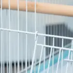 PawHut 55" 2 In 1 Parrot Cage with Wheels, Bird Cage, Easy to clean Aviary, Parakeet House, Finches Budgies, Blue - Image 9