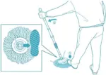 6 Pack Microfiber Spin Mop Replacement Heads, 6.5 Inch - Image 6