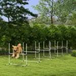 6 Piece Dog Agility Set with Adjustable Height Jump Bars, Carry Bag, Displacing Top Bar, White - Image 2
