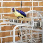 64 Inch Bird Cage for Medium Small Parrots Cockatiel Cages Budgies Lovebirds Parrotlets with Rolling Stand - Image 8