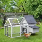 65 Chicken Coop Wooden House Rabbit Hutch Poultry Cage Hen Pen Nesting Box Ramp Run Patio Backyard Garden Gray White - Image 16