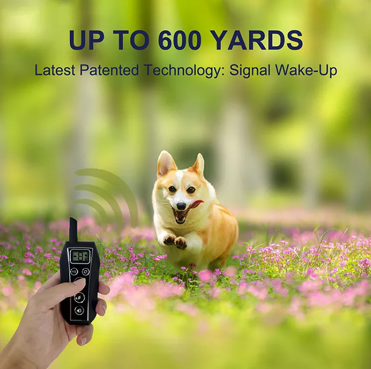 650 Yard Remote Dog Training Collar with Tone Vibration and Static Modes