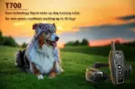 650 Yard Remote Dog Training Collar with Tone Vibration and Static Modes - Image 3