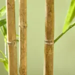 HOMCOM 6ft Fake Bamboo Tree Indoor Outdoor Artificial Plant with Pot for Home Office Living Room Decor - Image 9