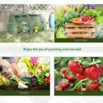 Outsunny 6x3x3 Small Backyard Greenhouse, Portable with 2 PE/PVC Covers and 2 Roll Up Windows, for Outdoor Planter Warm House, Green - Image 8