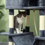 81" Cat Tree w/ Cat Scratching Posts, Scratching Board, Condos, Beds, Hammocks, Toy Balls, Rope Cat Toy, Gray - Image 8