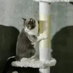 PawHut 8.4' Floor to Ceiling Cat Tree, Adjustable Height, White - Image 8