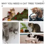 8.5' Vertical Cat Tree Adjustable Height Floor-To-Ceiling with 5 Carpeted Platforms and 3 Sisal Rope Scratching Areas Beige - Image 7