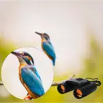 30x60 Compact Folding Binoculars for Outdoor Travel and Hunting - Image 6