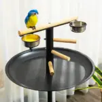 PawHut Bird Feeder Stand Portable Parrot Perch Play Stand with Wheels Stainless Steel Bowls Round Tray Grey - Image 7