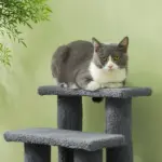 PawHut Cat Scratching Post 25 4-Step Carpeted Pet Stairs High Beds Sofas Cat Furniture with Toy Gray - Image 8