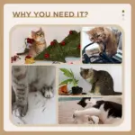 Cat Tree Tower for Indoor Cats with Scratching Posts Condo Beige - Image 5