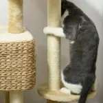 Cat Tree Tower for Indoor Cats with Scratching Posts Condo Beige - Image 7