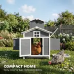 PawHut Chicken Coop for 2 Chickens, Wooden Hen House with Nesting Box, Pull-Out Tray, Ventilation Windows - Image 3