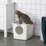 Covered Cat Litter Box, Easy Cleaning Kitty Litter Box with Front Entrance, Top Exit, Scoop, for Odor Control, White - Image 2
