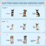 PawHut Cozy Pet House Water-Resistant Indoor/Outdoor Puppy Shelter Gray for Small/Medium Dogs Easy to Install - Image 7