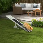 Dog Agility Equipment Wooden Seesaw White for Training and Exercise - Image 2