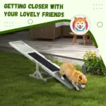 Dog Agility Equipment Wooden Seesaw White for Training and Exercise - Image 6