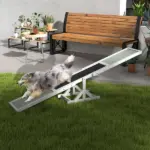 Dog Agility Equipment Wooden Seesaw White for Training and Exercise - Image 10