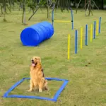 PawHut Dog Agility Tools 4PCS Set PE Jumps Stop Box Outdoor Training Equipment Blue Yellow - Image 2