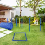 PawHut Dog Agility Tools 4PCS Set PE Jumps Stop Box Outdoor Training Equipment Blue Yellow - Image 8