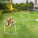 4 Piece Adjustable Dog Agility Jump Bar Set with Carry Bag, Blue - Image 2